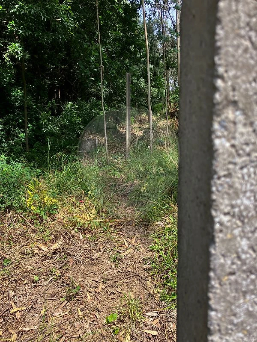 Terreno para Venda em Nogueira da Regedoura Foto 6
