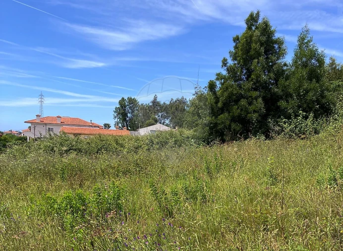 Terreno para Venda em Nogueira da Regedoura Foto 4