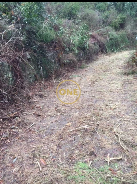 Terreno para Venda em Dossãos