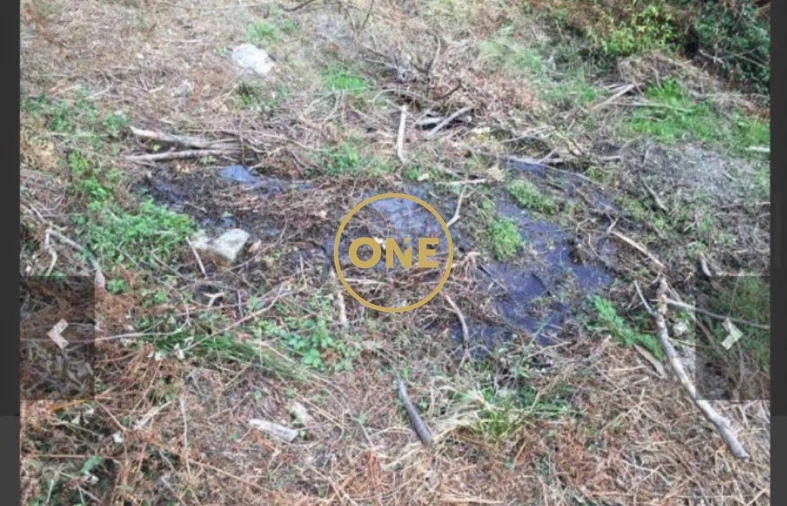 Terreno para Venda em Dossãos Foto 4