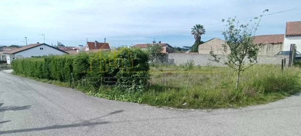 Terreno para Venda em Maceira