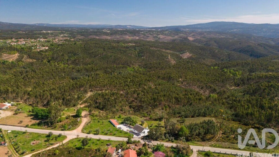 Moradia T4 para Venda em Graça Foto 38