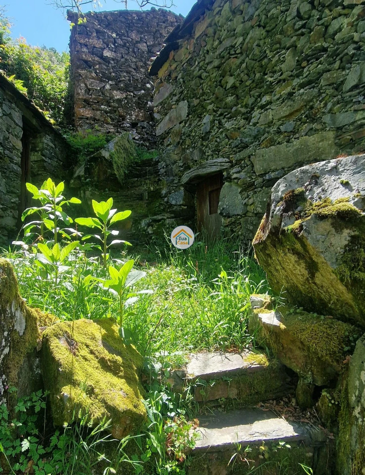 Armazém para Venda em Lousã e Vilarinho Foto 10