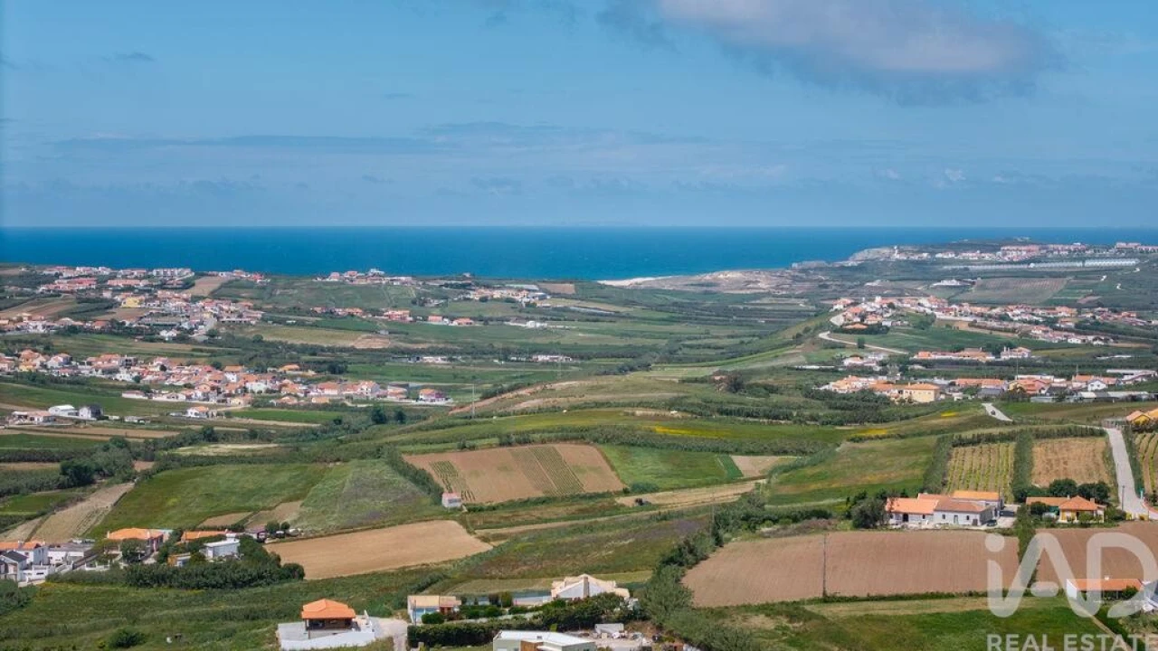 Terreno para Venda em São Pedro da Cadeira Foto 12