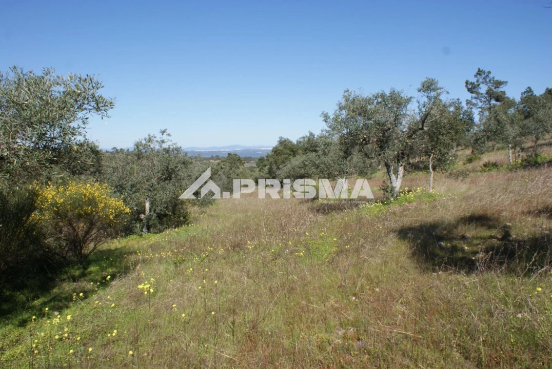 Terreno para Venda em Malpica do Tejo Foto 11