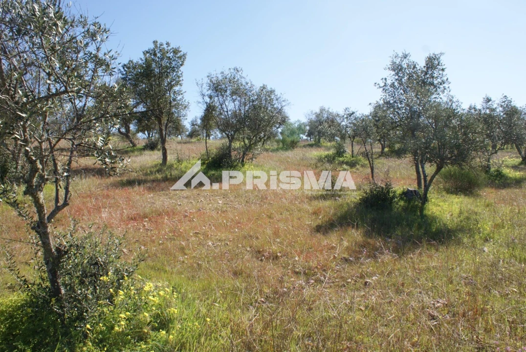 Terreno para Venda em Malpica do Tejo Foto 17