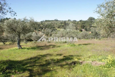 Terreno para Venda em Malpica do Tejo