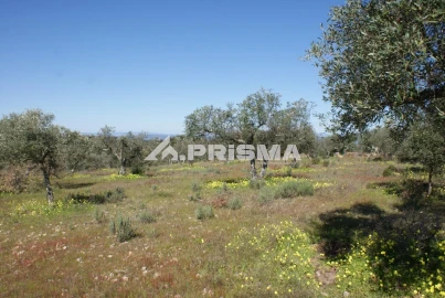 Terreno para Venda em Malpica do Tejo