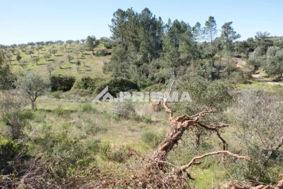 Terreno para Venda em Malpica do Tejo