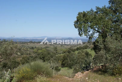 Terreno para Venda em Malpica do Tejo