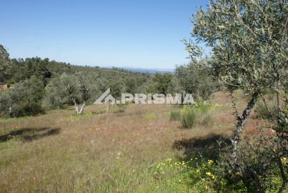 Terreno para Venda em Malpica do Tejo