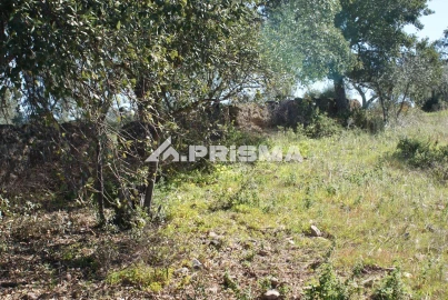 Terreno para Venda em Malpica do Tejo