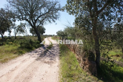 Terreno para Venda em Malpica do Tejo