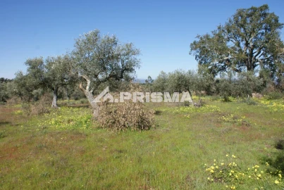 Terreno para Venda em Malpica do Tejo