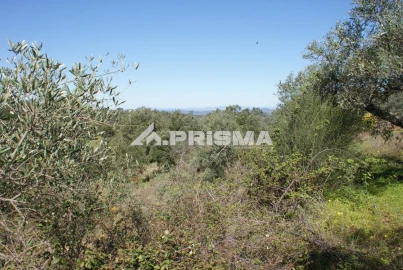 Terreno para Venda em Malpica do Tejo