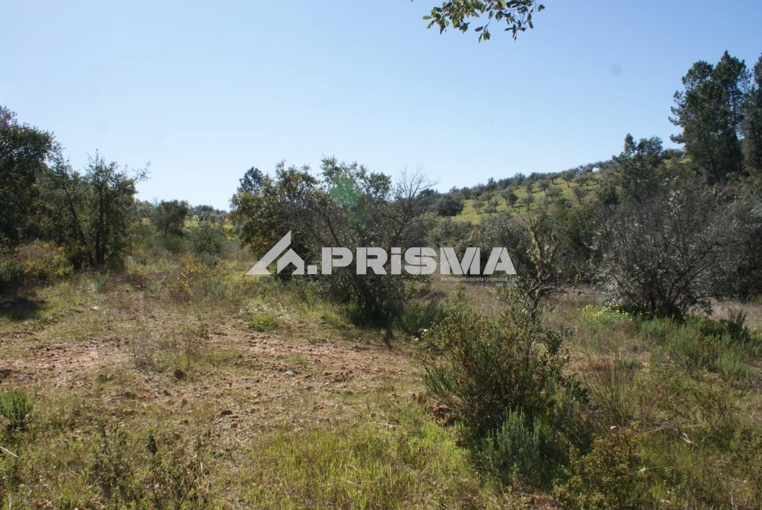 Terreno para Venda em Malpica do Tejo Foto 19