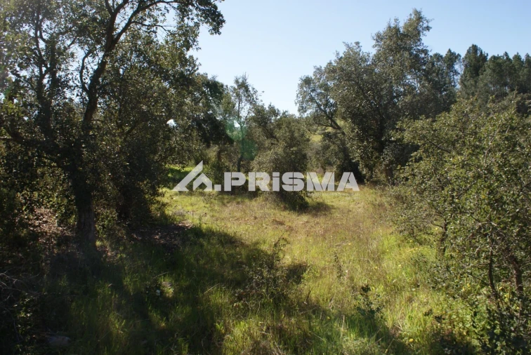 Terreno para Venda em Malpica do Tejo Foto 18