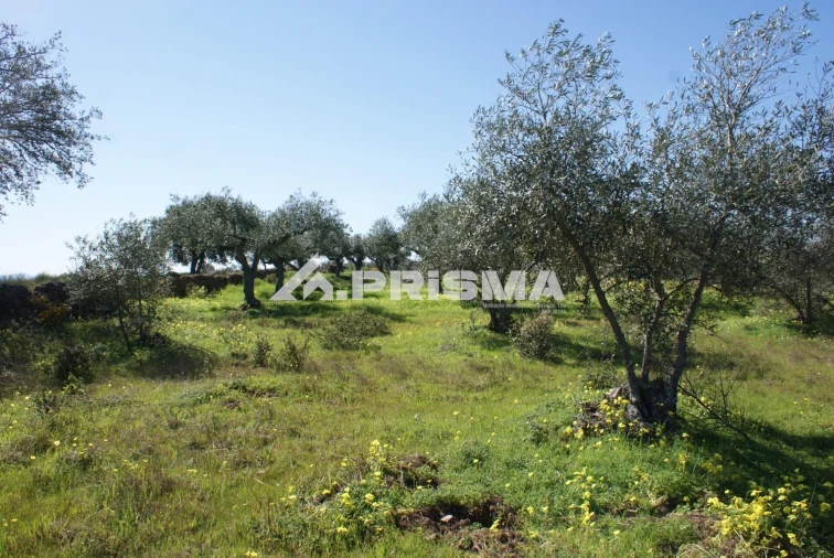Terreno para Venda em Malpica do Tejo Foto 2