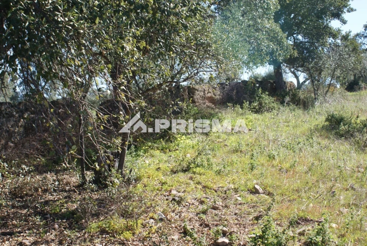 Terreno para Venda em Malpica do Tejo Foto 24