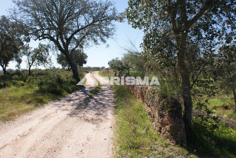 Terreno para Venda em Malpica do Tejo Foto 25