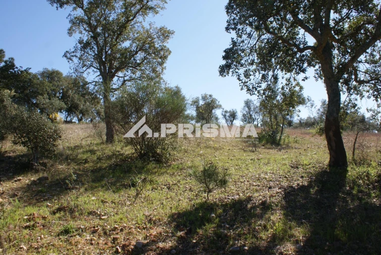 Terreno para Venda em Malpica do Tejo Foto 21