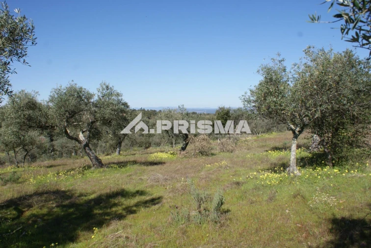 Terreno para Venda em Malpica do Tejo Foto 7