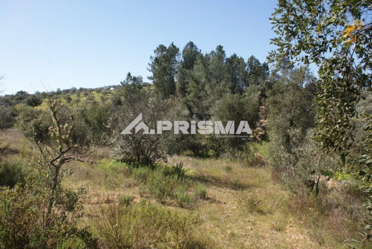 Terreno para Venda em Malpica do Tejo Foto 20