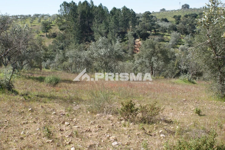Terreno para Venda em Malpica do Tejo Foto 23
