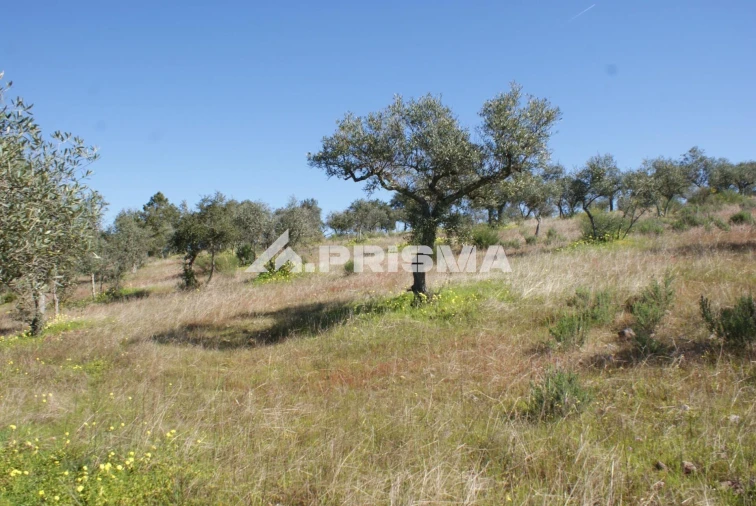 Terreno para Venda em Malpica do Tejo Foto 15