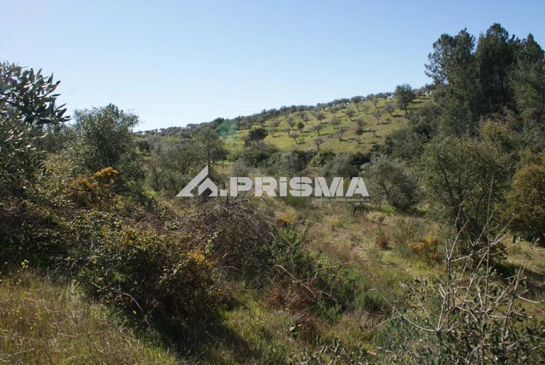 Terreno para Venda em Malpica do Tejo Foto 16