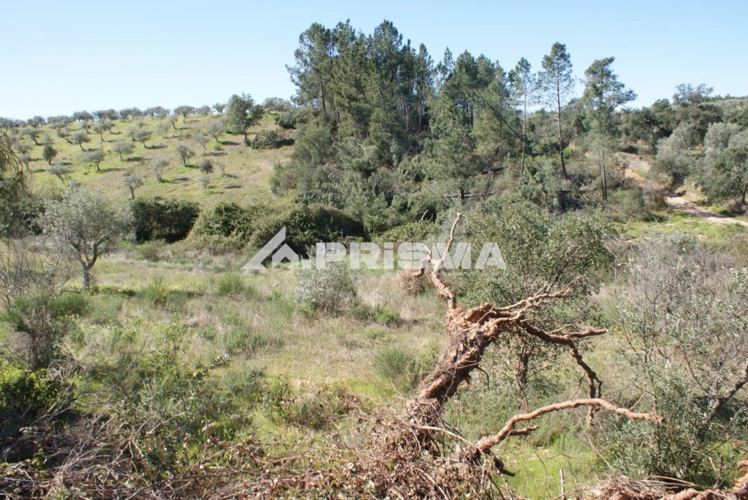 Terreno para Venda em Malpica do Tejo Foto 12