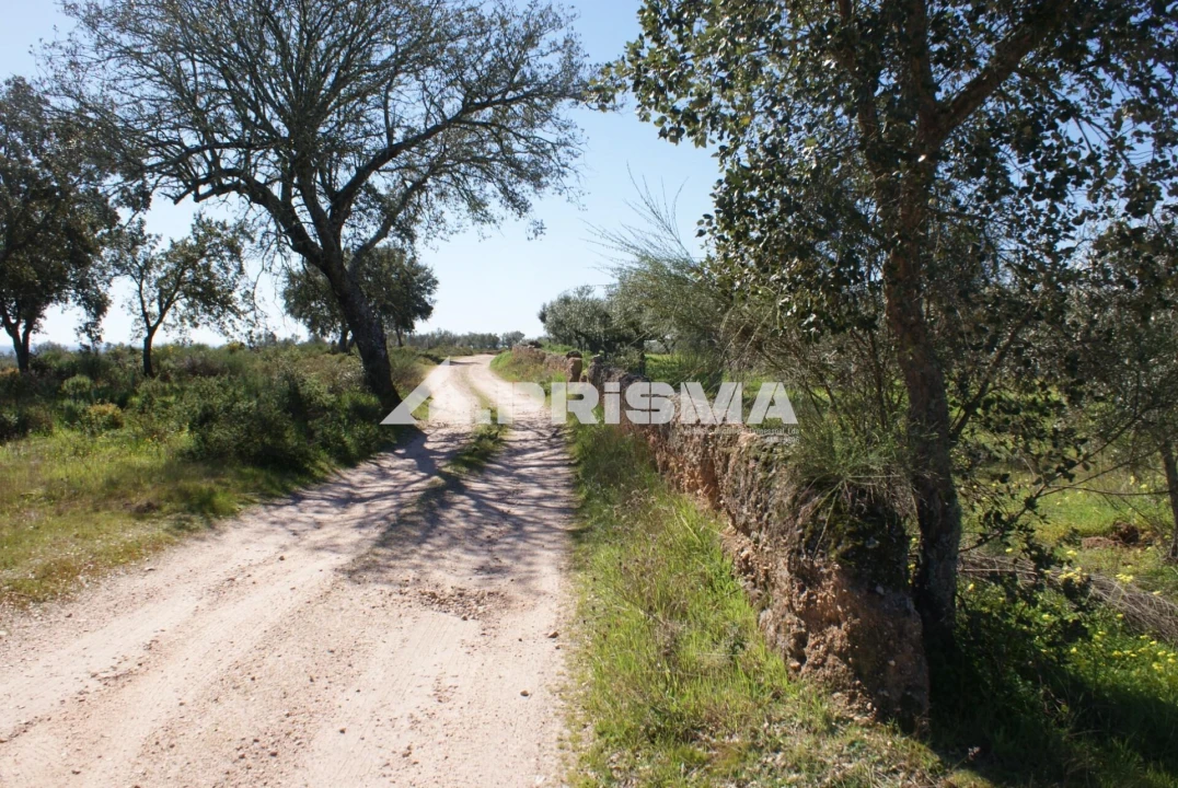 Terreno para Venda em Malpica do Tejo Foto 25