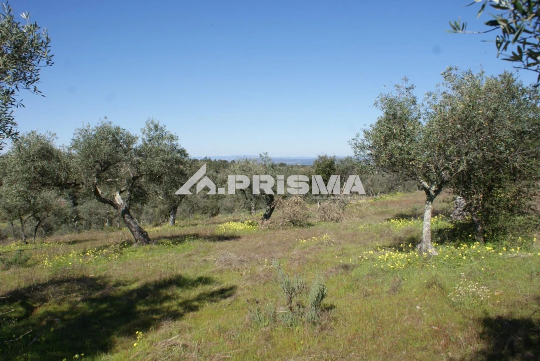 Terreno para Venda em Malpica do Tejo Foto 7