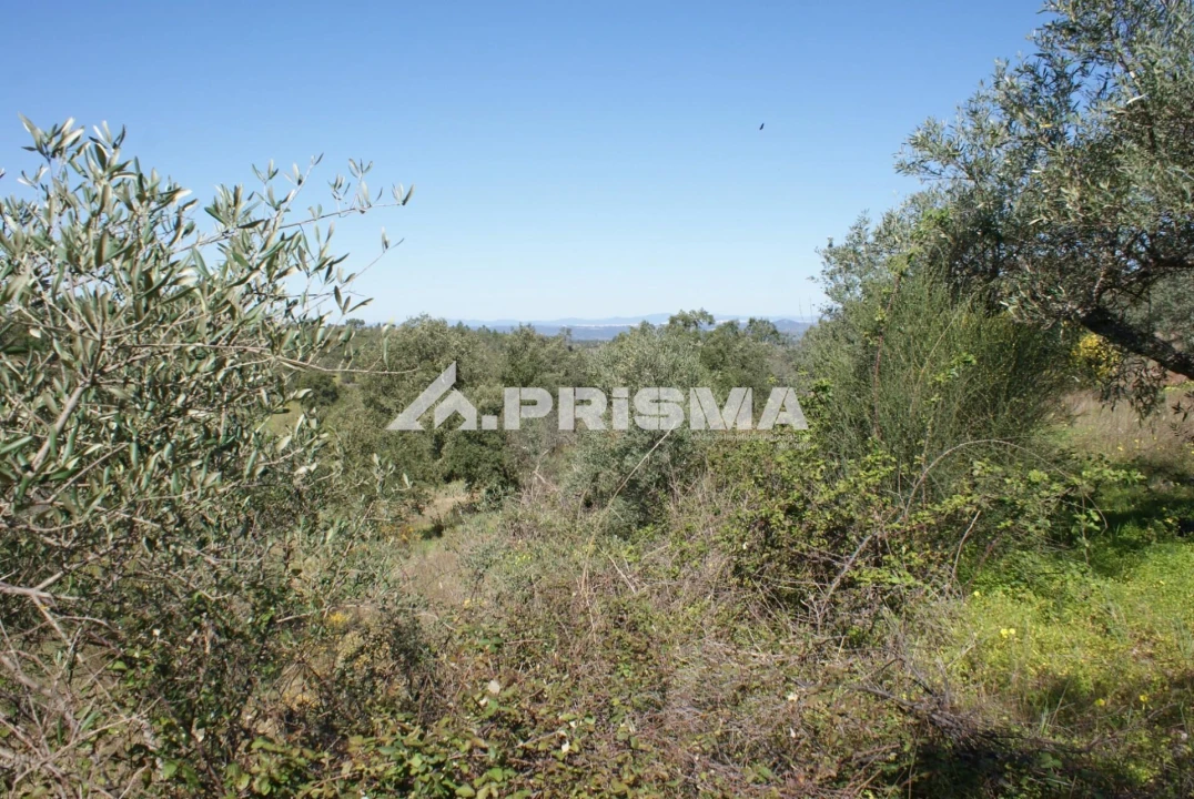 Terreno para Venda em Malpica do Tejo Foto 13