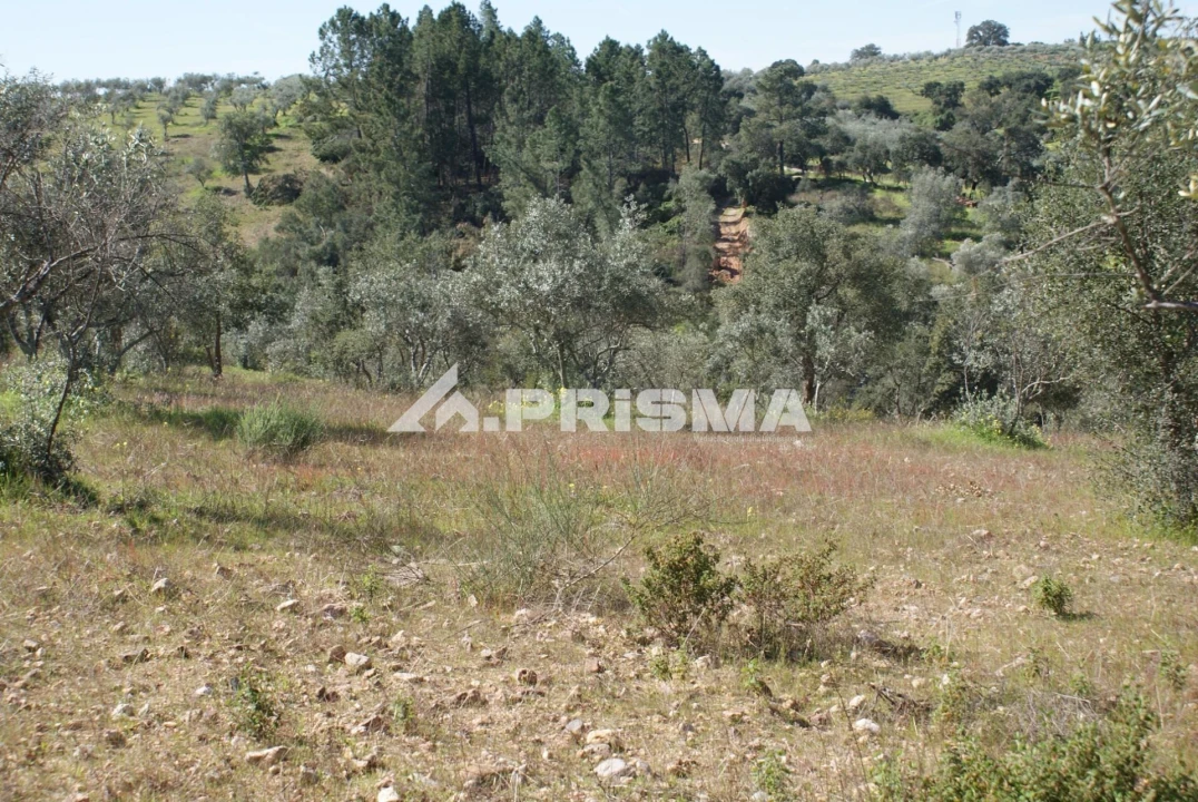 Terreno para Venda em Malpica do Tejo Foto 23