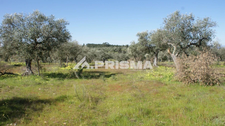 Terreno para Venda em Malpica do Tejo