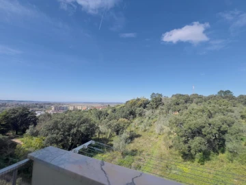 Apartamento T2 para Venda em Sé Nova, Santa Cruz, Almedina e São Bartolomeu