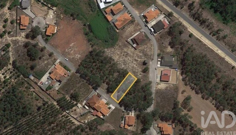 Terreno para Venda em Amor