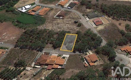 Terreno para Venda em Amor
