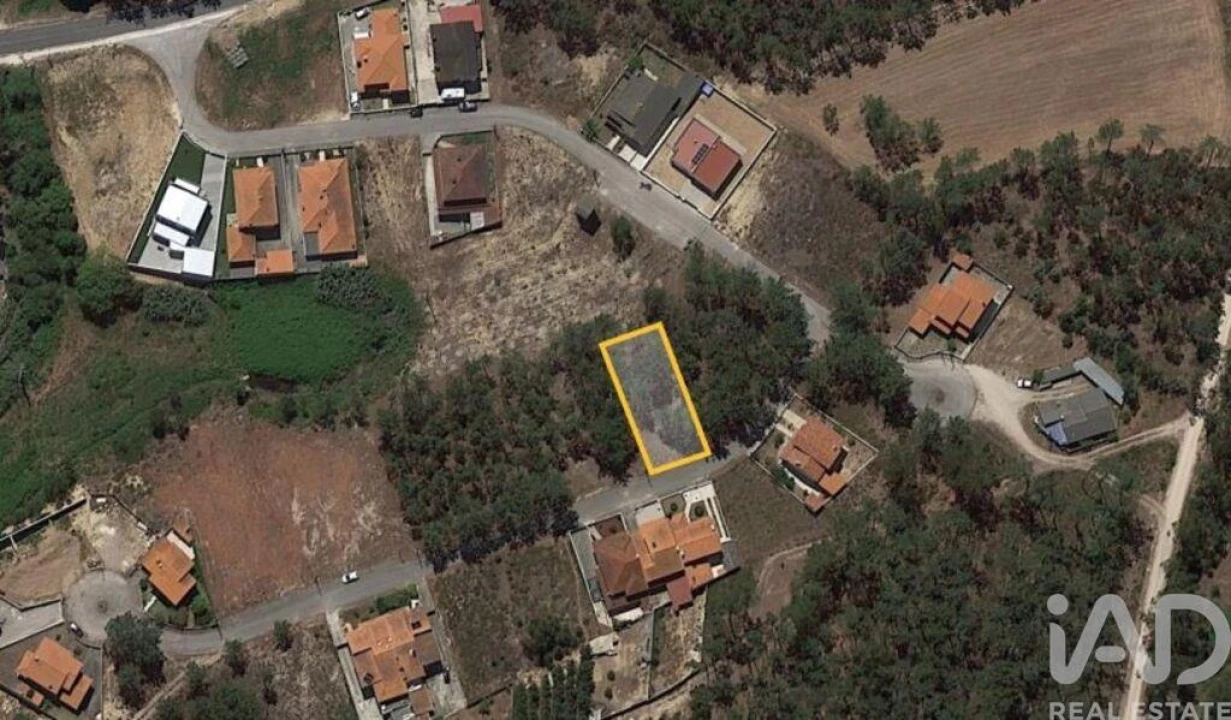 Terreno para Venda em Amor Foto 2