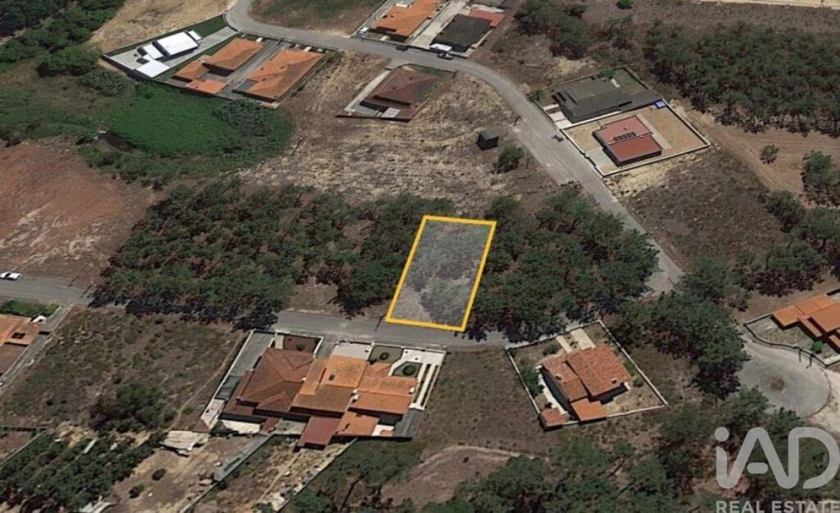 Terreno para Venda em Amor Foto 3