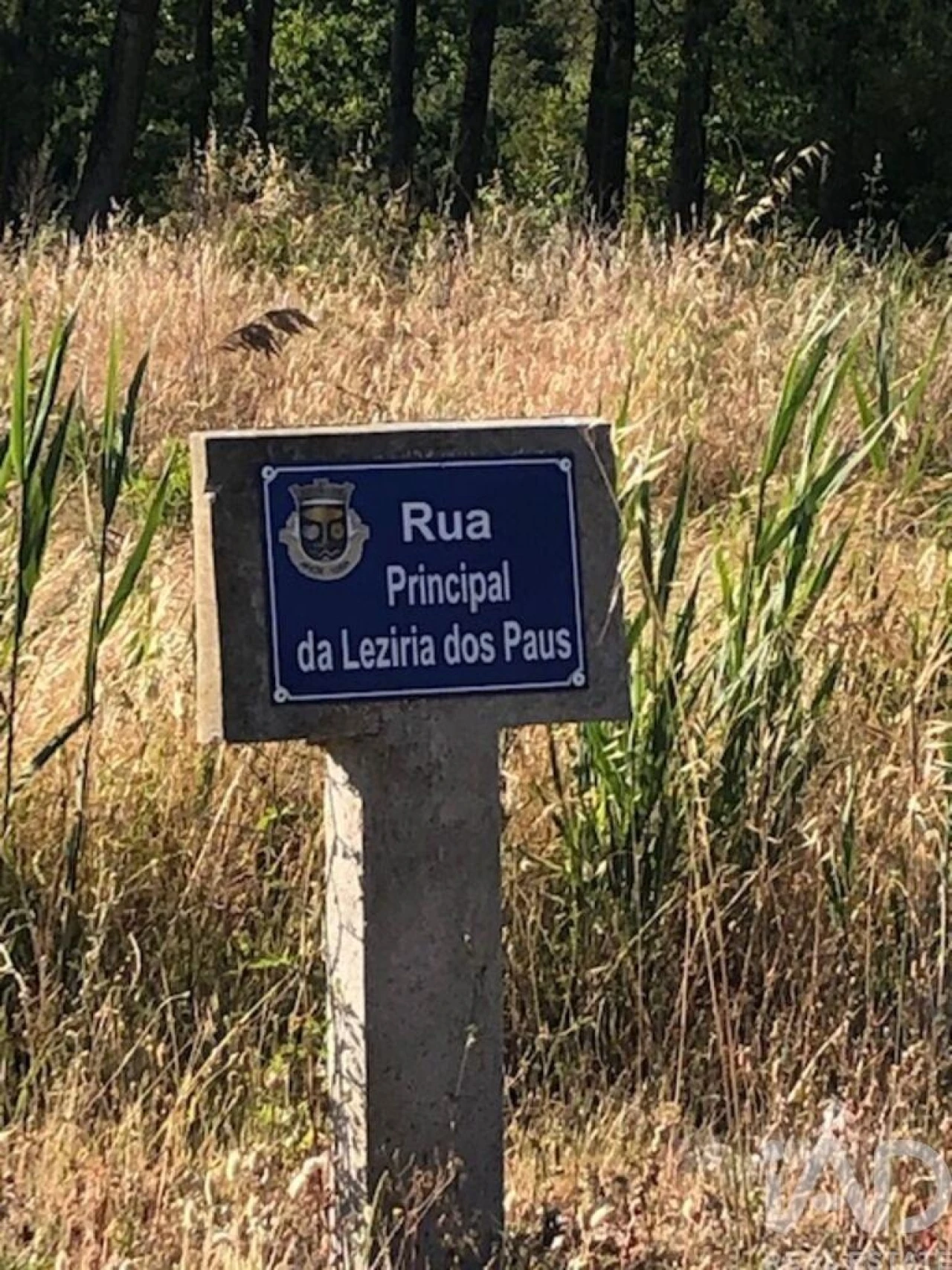 Terreno para Venda em Amor Foto 12