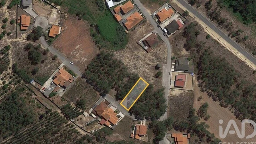 Terreno para Venda em Amor