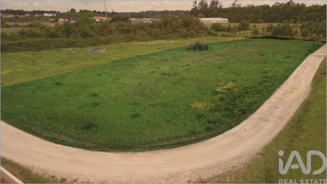 Terreno para Venda em Vagos e Santo António Foto 6