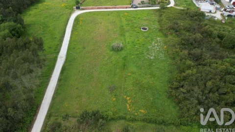 Terreno para Venda em Vagos e Santo António