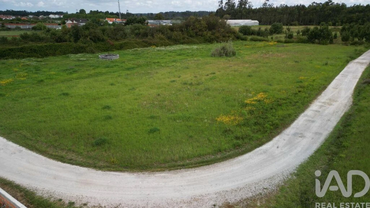 Terreno para Venda em Vagos e Santo António Foto 7