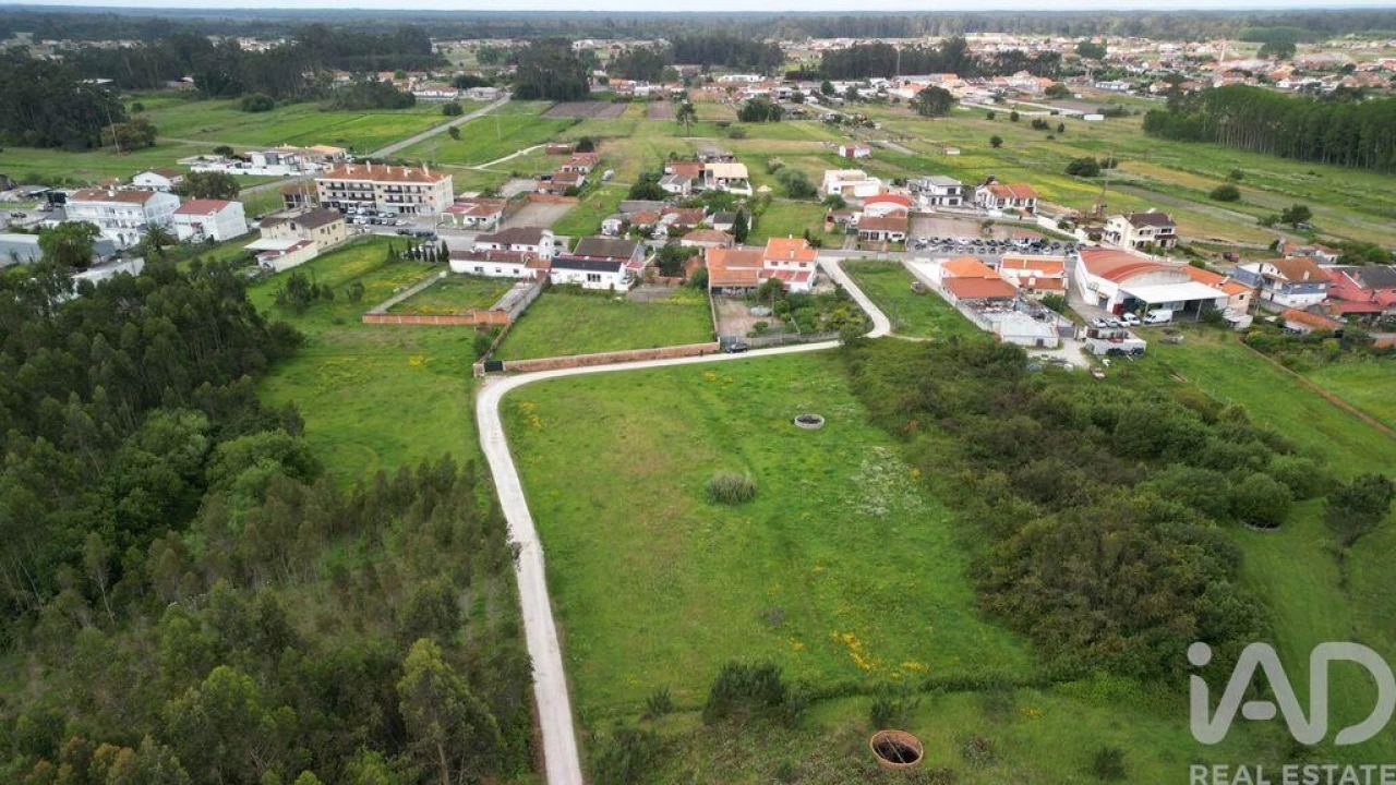 Terreno para Venda em Vagos e Santo António Foto 9