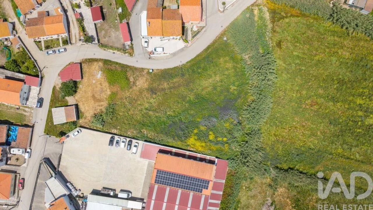 Terreno para Venda em São Pedro da Cadeira Foto 7