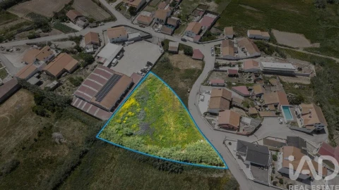 Terreno para Venda em São Pedro da Cadeira