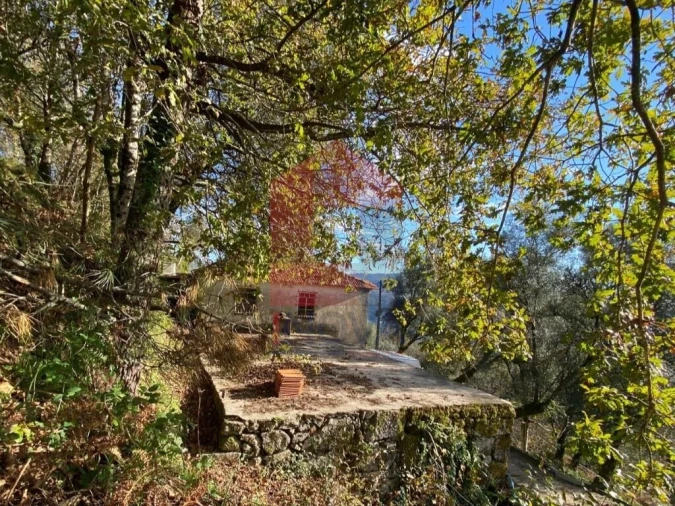 Moradia T2 para Venda em Valbom (São Pedro), Passô e Valbom (São Martinho) Foto 14